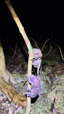 宮古島マリンショップSmileyに投稿された画像（2025/4/10）