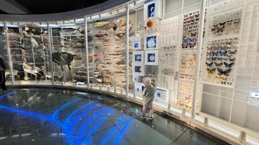 国立科学博物館に投稿された画像（2025/4/10）