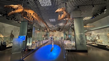 国立科学博物館に投稿された画像（2025/4/10）