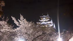 大阪城公園 西の丸庭園に投稿された画像（2025/4/10）