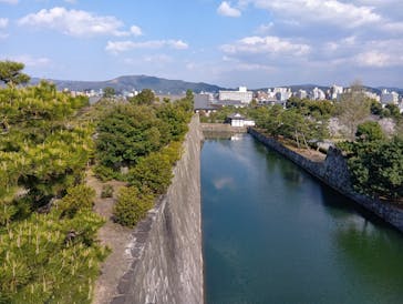 元離宮二条城に投稿された画像（2025/4/11）