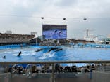 名古屋港水族館に投稿された画像（2025/4/11）