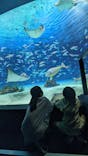 サンシャイン水族館に投稿された画像（2025/4/11）