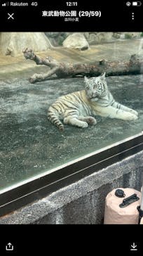 東武動物公園に投稿された画像（2025/4/11）
