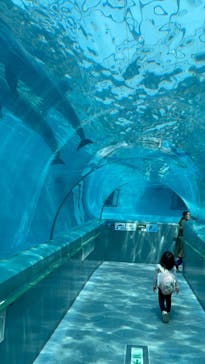 太地町立くじらの博物館に投稿された画像（2025/4/11）