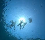 青の洞窟専門店　沖縄ダイビングショップ和に投稿された画像（2025/4/11）