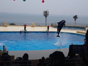 マリンワールド海の中道に投稿された画像（2025/4/11）