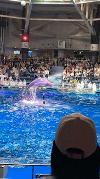 マクセル アクアパーク品川に投稿された画像（2025/4/11）