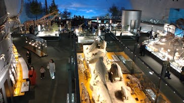 福井県立恐竜博物館に投稿された画像（2025/4/11）