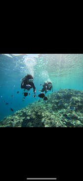 武藤潜水に投稿された画像（2025/4/11）