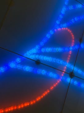 国立科学博物館に投稿された画像（2025/4/11）