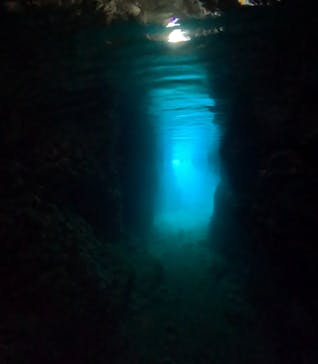 武藤潜水に投稿された画像（2025/4/11）