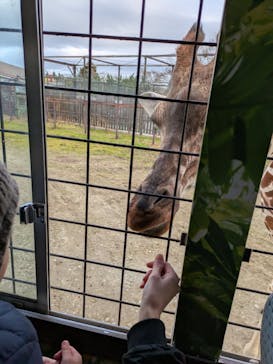 那須サファリパークに投稿された画像（2025/4/11）