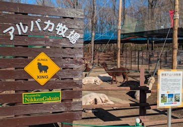 那須高原りんどう湖ファミリー牧場に投稿された画像（2025/4/11）