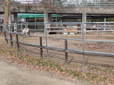 那須高原りんどう湖ファミリー牧場に投稿された画像（2025/4/11）