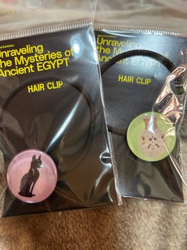 ブルックリン博物館所蔵 特別展 古代エジプトに投稿された画像（2025/4/11）