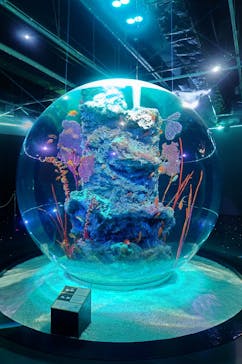 AQUARIUM × ART　atoaに投稿された画像（2025/4/11）
