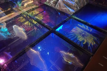 AQUARIUM × ART　atoaに投稿された画像（2025/4/11）