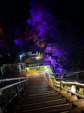 ニジゲンノモリに投稿された画像（2025/4/11）