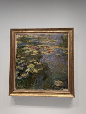 モネ　睡蓮のときに投稿された画像（2025/4/11）