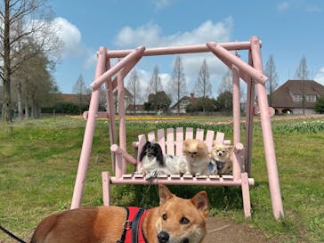 滋賀農業公園ブルーメの丘に投稿された画像（2025/4/11）