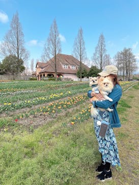 滋賀農業公園ブルーメの丘に投稿された画像（2025/4/11）