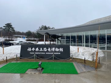 福井県立恐竜博物館に投稿された画像（2025/4/11）