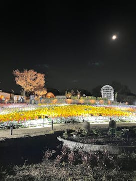名古屋市東山動植物園に投稿された画像（2025/4/12）