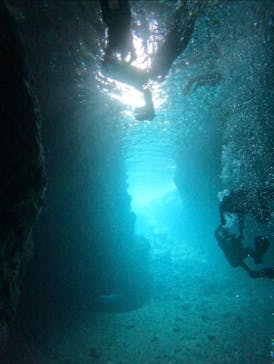 武藤潜水に投稿された画像（2025/4/12）