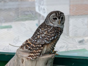 あらかわ遊園に投稿された画像（2025/4/12）