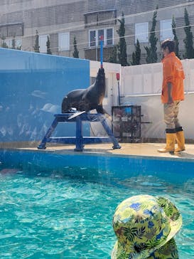 竹島水族館に投稿された画像（2025/4/12）