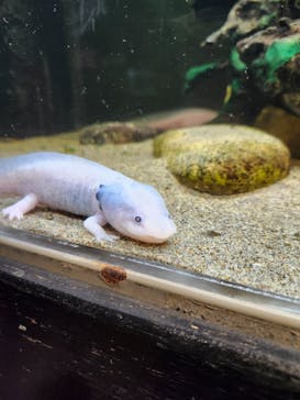 竹島水族館に投稿された画像（2025/4/12）