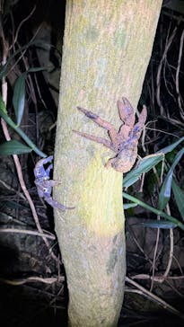 宮古島マリンショップSmileyに投稿された画像（2025/4/12）