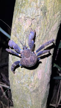 宮古島マリンショップSmileyに投稿された画像（2025/4/12）