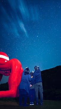 宮古島マリンショップSmileyに投稿された画像（2025/4/12）