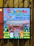 猫好きさんの祭典「にゃんだらけ20」に投稿された画像（2025/4/12）