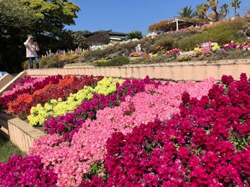 ニューヨークランプミュージアム＆フラワーガーデンに投稿された画像（2025/4/12）