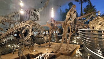 福井県立恐竜博物館に投稿された画像（2025/4/12）