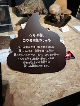  うんち展　-No UNCHI, No LIFE-に投稿された画像（2025/4/12）