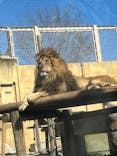 東武動物公園に投稿された画像（2025/4/12）