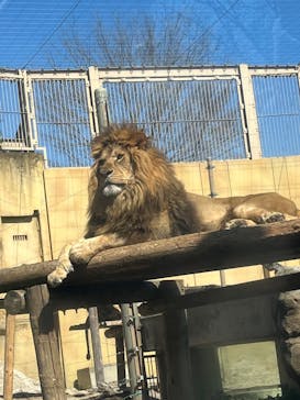 東武動物公園に投稿された画像（2025/4/12）