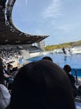 京都水族館に投稿された画像（2025/4/12）