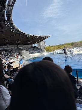 京都水族館に投稿された画像（2025/4/12）