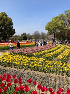 万博記念公園に投稿された画像（2025/4/12）