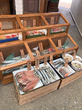 西武園ゆうえんちに投稿された画像（2025/4/12）