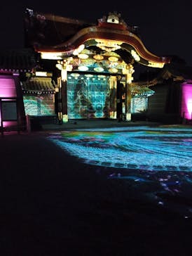 NAKED meets 二条城 2025 観月に投稿された画像（2025/4/12）