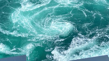 徳島県立 渦の道に投稿された画像（2025/4/12）