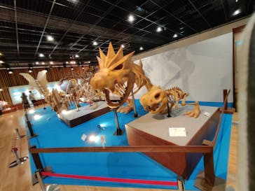 福井県立恐竜博物館に投稿された画像（2025/4/12）