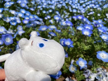 ムーミンバレーパークに投稿された画像（2025/4/12）