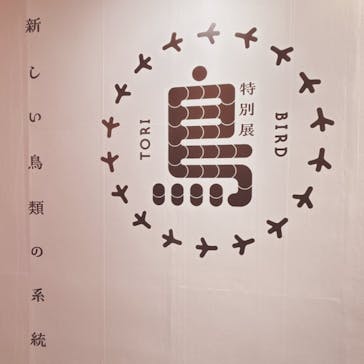 特別展「鳥～ゲノム解析が解き明かす新しい鳥類の系統～」に投稿された画像（2025/4/12）